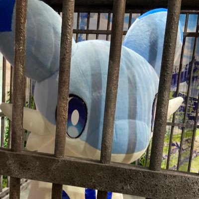 mkk0815's profile picture. HARDCORE TANOC ボルダリング