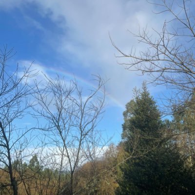 Bolboretaazul's profile picture. Sigue nadando,sigue nadando…🐟