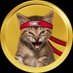 GME Ethereum (@gmeethereum) Twitter profile photo GME Ethereum (@gmeethereum) Twitter profile photo