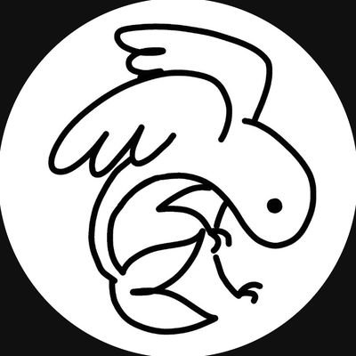 flyoryte Profile