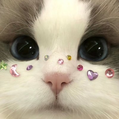 ⭑ aries — intj 。𖦹°‧ growing day by day ༘˚⋆𐙚。⋆𖦹.✧˚