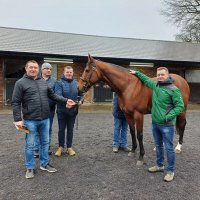 Killartery Stud (@killarterystud) 's Twitter Profile