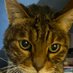 Mathieu😂😉⛵🏍️🚁✈️🌺🏉🚴🎸🌡⛈️🐈🐄🕊️🐝👮🧯🧑🚒 (@titilemotard83) Twitter profile photo Mathieu😂😉⛵🏍️🚁✈️🌺🏉🚴🎸🌡⛈️🐈🐄🕊️🐝👮🧯🧑🚒 (@titilemotard83) Twitter profile photo