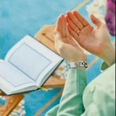 ayesha45219's profile picture. 