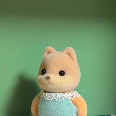フィルムカメラで写真撮ってます。成人済み①スピードはAUTO(マニュアルは針を重ねる設定)、露出0を守る②フィルムを装填する前にISOを合わせること。③シャッターを切ったらゆっくり巻くこと。④AGFAは晴れの日にISO50〜80で撮ること④phoenixは iso50チャレンジ