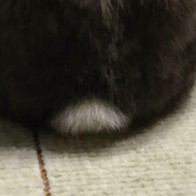 3919_booktime9's profile picture. 野球(中日ドラゴンズ•日本ハム)とAqua Timezを応援してます(^^)
最近は、ゲーム関連が多いかな(-_-;)
身の回りのこともつぶやいたりします🥳