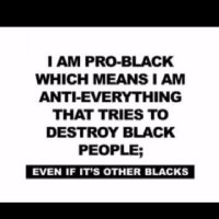 Nat Turner 2.0 (@iamnotyournegr2) 's Twitter Profile