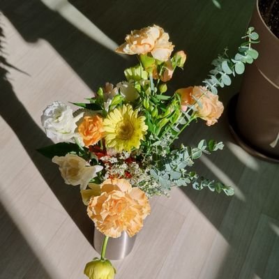 snowfields0's profile picture. 