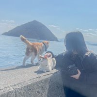 まめ (@mame_cam_) Twitter profile photo