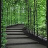 Z_10Z_10's profile picture. 🌲إجعل الإبتسامة أول ملامحك.فهى لك صحة.وفى الدين صدقة. وفى القلب بهاء.🌲