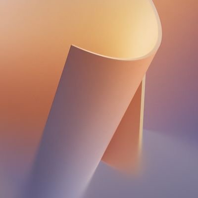 zhaoxinyu255's profile picture.