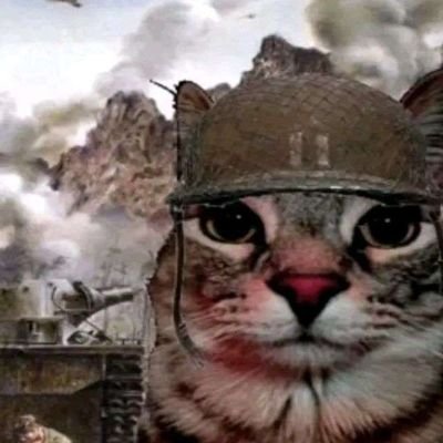 Teclam45's profile picture. 