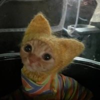 vavoom (@angryfecker23) 's Twitter Profile
