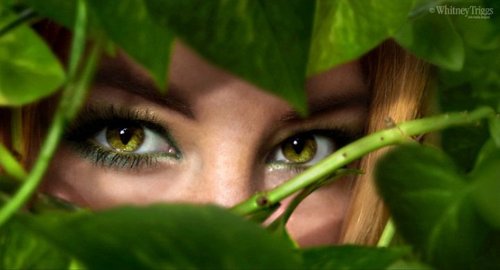 triggers0202's profile picture. 