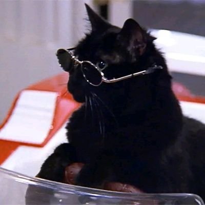 @Halloween_miau