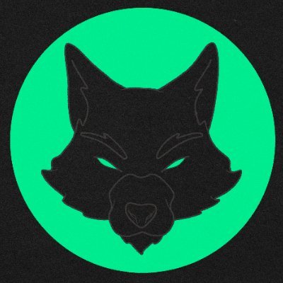 @thewolvesxyz