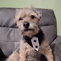 Sir Takoda, MBE and CBE💙 (@bakodabt) 's Twitter Profile Photo Sir Takoda, MBE and CBE💙 (@bakodabt) 's Twitter Profile Photo