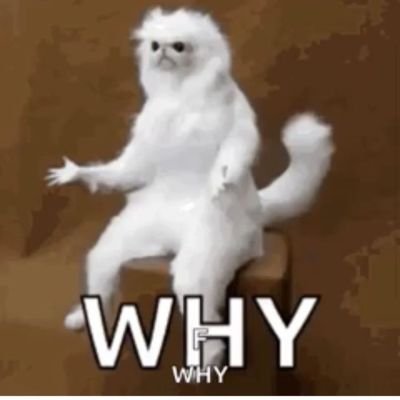 vitaminandalusi's profile picture. 🩷