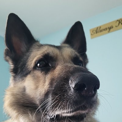 melissahun6596's profile picture. 