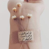 قمر🥰 (@mo19900116) 's Twitter Profile