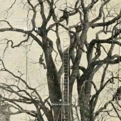 philippo1979's profile picture. Nil Satis Nisi Optimum