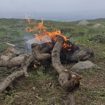 chal_saz89317's profile picture. 