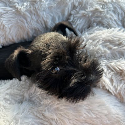 FactsOrFiction1's profile picture. God grant me Serenity...Courage...and Wisdom