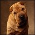 emerfisidis41 (@sevdam09301) Twitter profile photo emerfisidis41 (@sevdam09301) Twitter profile photo