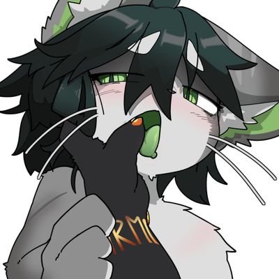 polarnovas's profile picture. 18+ any prns