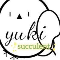 ゆきどん🪴 (@yukinko_1207) Twitter profile photo