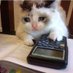 Kabilan (@kabilan1811) Twitter profile photo Kabilan (@kabilan1811) Twitter profile photo