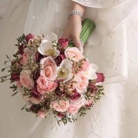 ام عبدالله (@s1iilfi) 's Twitter Profile