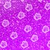 💜Swirly Fluff💜 (@fluffycelestial) Twitter profile photo 💜Swirly Fluff💜 (@fluffycelestial) Twitter profile photo