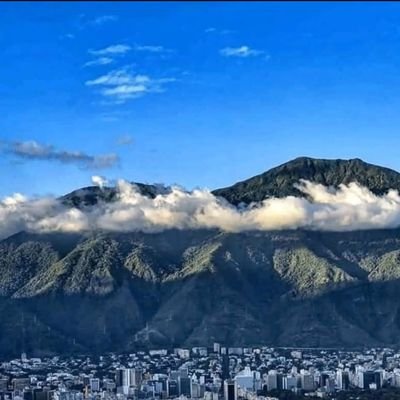 hectorjpena's profile picture. 🇻🇪