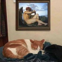 formkritik (@formkritik) 's Twitter Profile