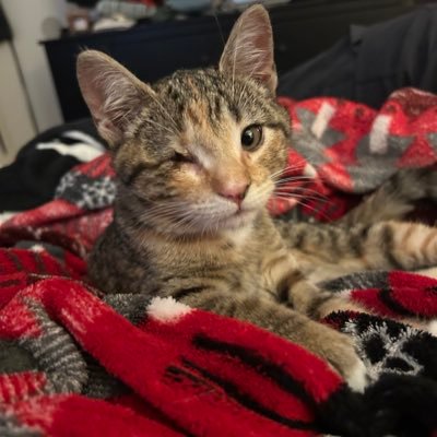 ashurryanj's profile picture. Lost Soul