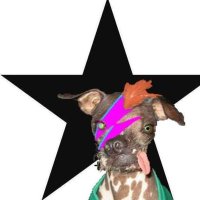 Ian R Whitby ™️ (@dollybluemc) 's Twitter Profile Photo Ian R Whitby ™️ (@dollybluemc) 's Twitter Profile Photo