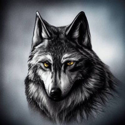 Xan626's profile picture. SPORT & ENTERTAINMENT