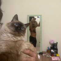ianzin (@succcccker) 's Twitter Profile