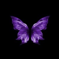 بَنفسْج (@llviolletll) 's Twitter Profile