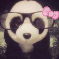 kinyzinha fofa :3 (@kinymush) 's Twitter Profile