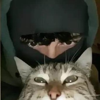 marriaza9's profile picture. Kurd