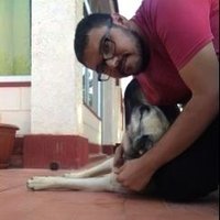 pablo (@ortunoestevep) 's Twitter Profile