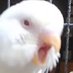 A (@erehhte) Twitter profile photo A (@erehhte) Twitter profile photo