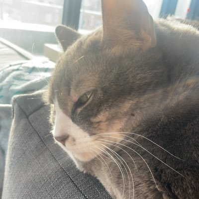 carbloading00's profile picture. 