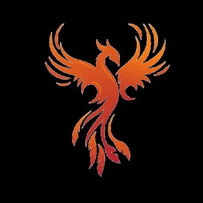 TeamFenix_'s profile picture. Official  Account From Team Fenix  Org:

Team Leader: @Zakaaito 
Co Leader: @V2BKazuto