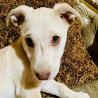 RossieMar (@mar_rossie) 's Twitter Profile Photo