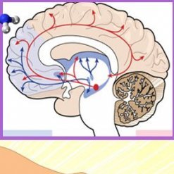 web30s's profile picture. 