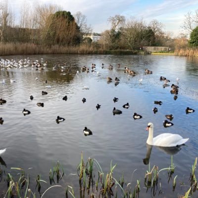 This feed is not monitored 9-5. Enquiries should be directed to: parks@lambeth.gov.uk or sports@lambeth.gov.uk. Thank you
