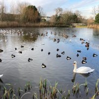 Lambeth Parks & Leisure (@brockwell_hall) 's Twitter Profile